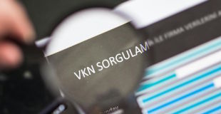 VKN ile Firma Bilgilerini Sorgulama
