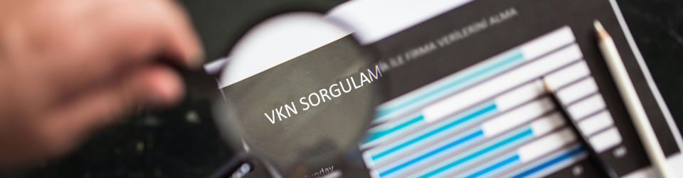 VKN Sorgulama
